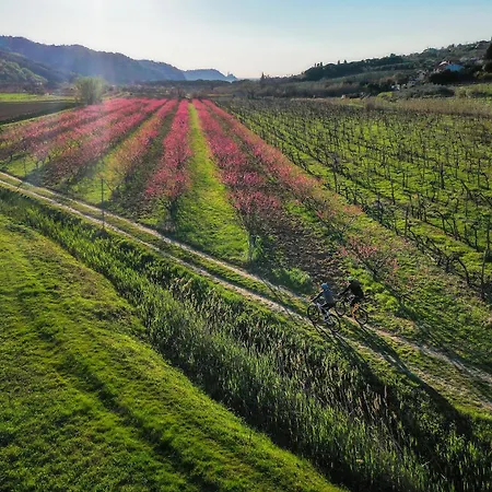 Domenico Heritage Relais & Private Welness Villa Pobegi